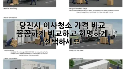 당진시 이사청소 가격 비교: 꼼꼼하게 비교하고 현명하게 선택하세요!