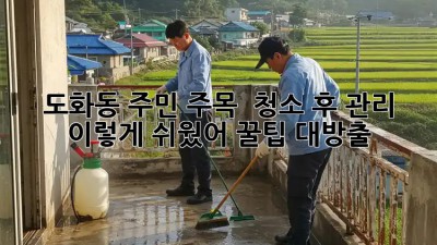 ✨ 도화동 주민 주목! 🏡 청소 후 관리, 이렇게 쉬웠어? 꿀팁 대방출! 🧹