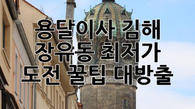 용달이사🚚 김해 장유동 최저가 도전! 꿀팁 대방출🍯